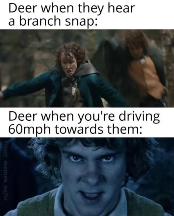 Memes For ''The Lord Of The Rings'' Fans (23 pics) Memes For ''The Lord Of The Rings'' Fans (23 pics)