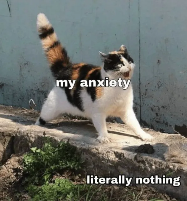 Memes About Anxiety (23 pics) Memes About Anxiety (23 pics)