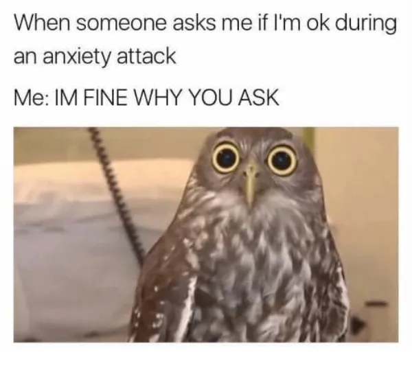 Memes About Anxiety (23 pics) Memes About Anxiety (23 pics)