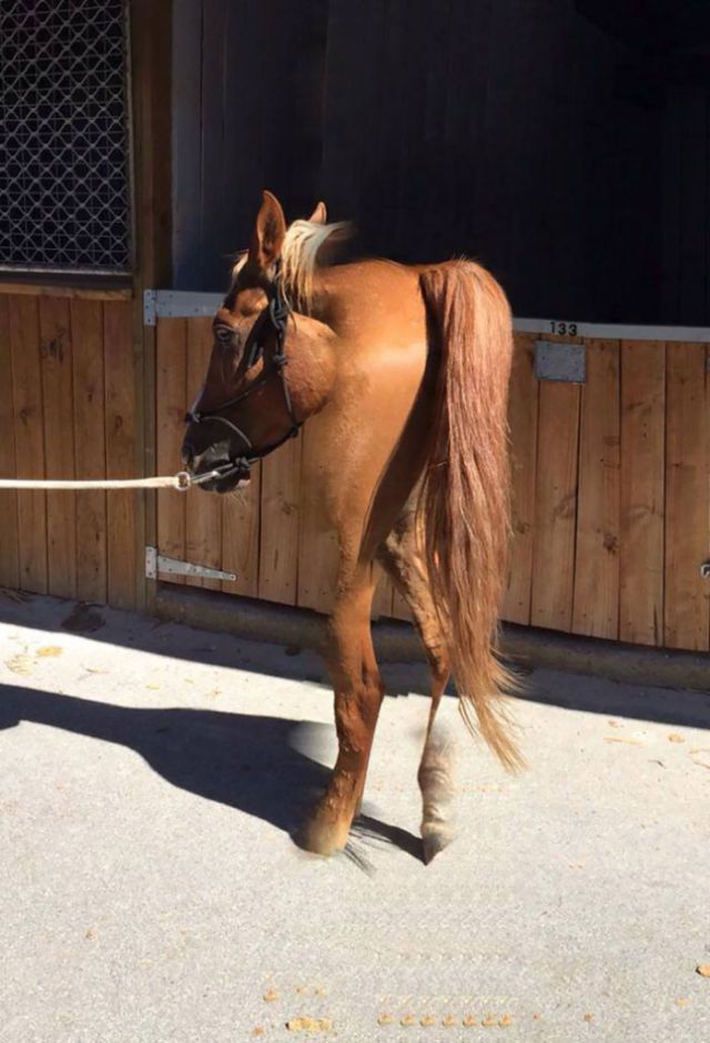 Failed Panoramic Photos (20 pics) Failed Panoramic Photos (20 pics)