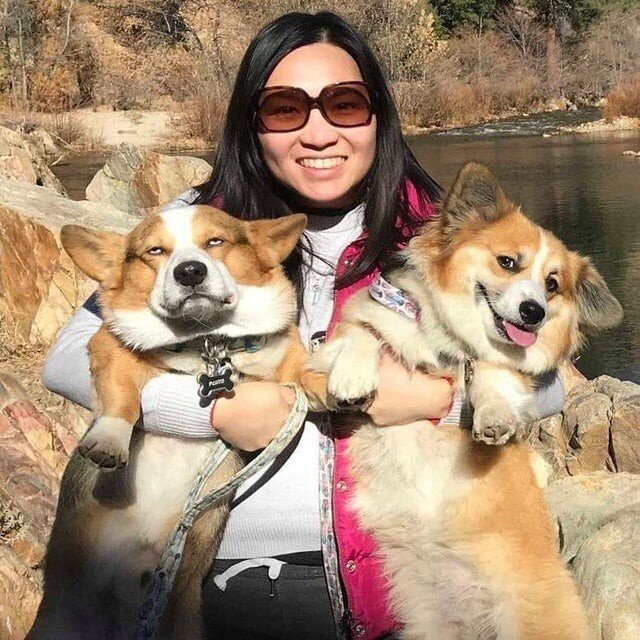 Funny Pets (15 pics) Funny Pets (15 pics)