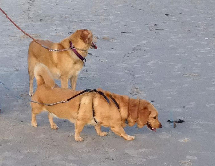 Failed Panoramic Photos (20 pics) Failed Panoramic Photos (20 pics)
