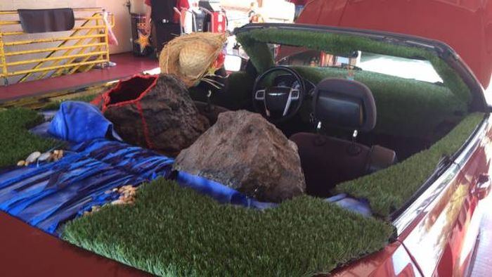 Daily Pictures. Part 2 (67 pics)