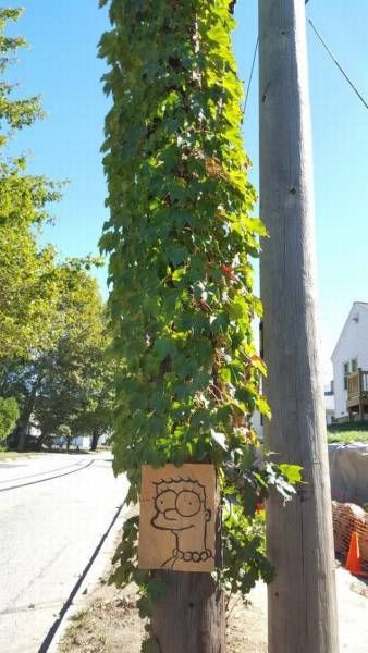 Daily Pictures. Part 2 (67 pics)