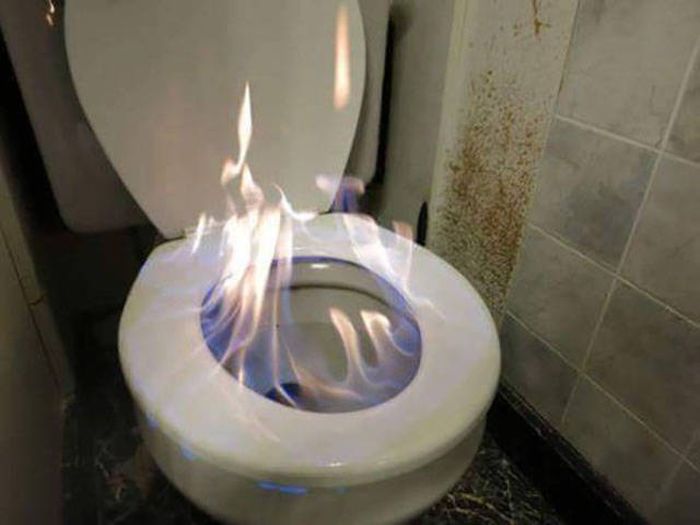 Daily Pictures. Part 2 (67 pics)