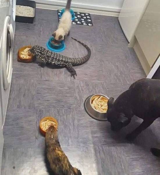 Daily Pictures. Part 2 (67 pics)