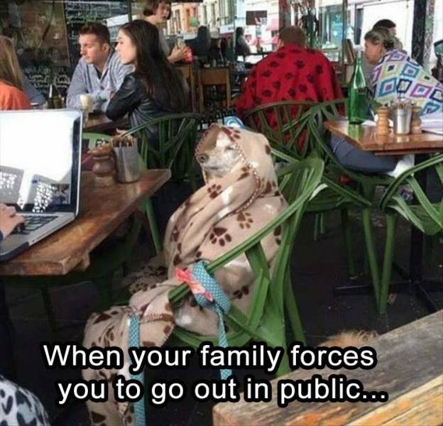 Daily Pictures. Part 2 (67 pics)