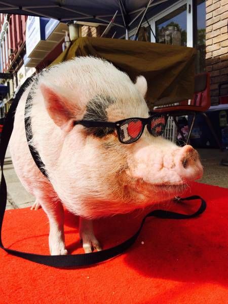 Daily Pictures. Part 2 (67 pics)