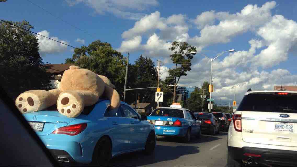 Daily Pictures. Part 2 (67 pics)