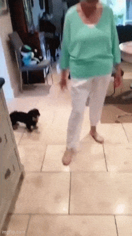 Acid GIFs, April 9 (25 gifs)