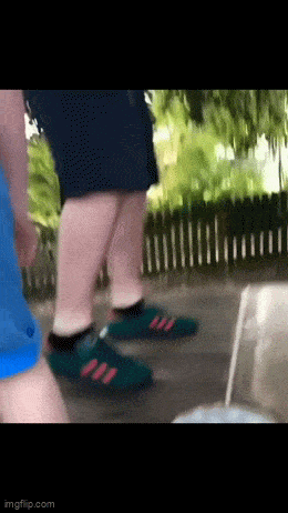 Acid GIFs, April 9 (25 gifs)