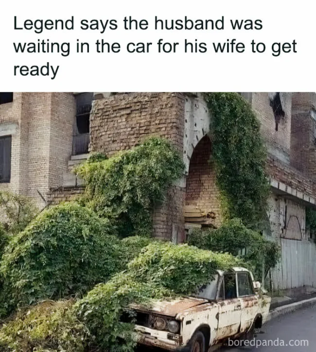 Memes About Marriage (25 pics)