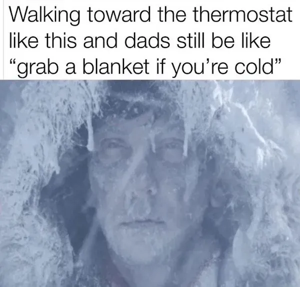 Truthful Memes (21 pics)