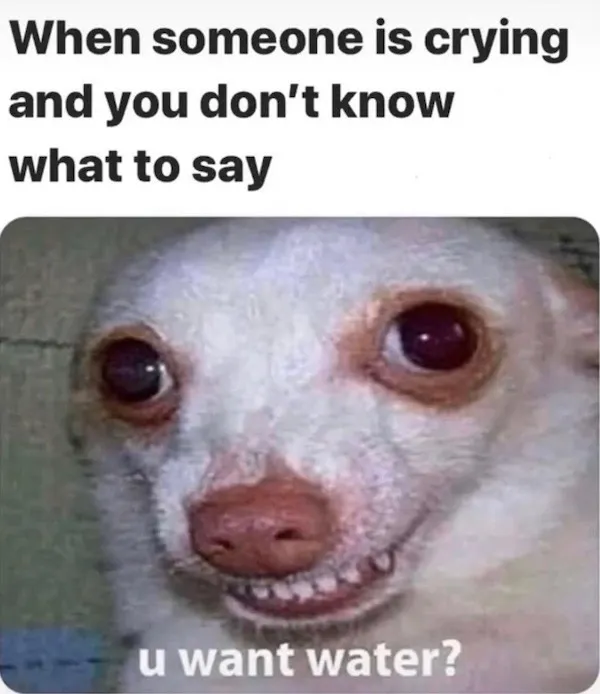 Truthful Memes (21 pics)