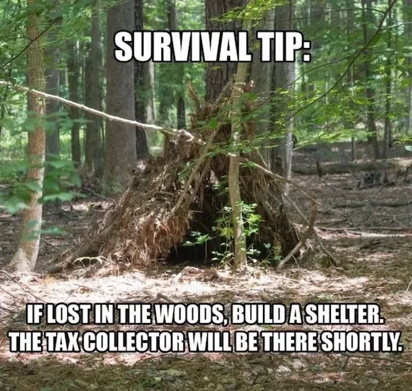 Truthful Memes (21 pics)