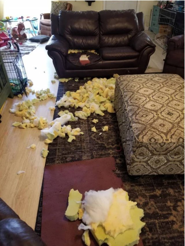 Bad Days Happen (14 pics)