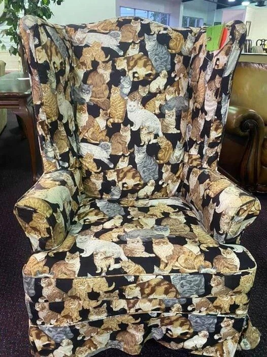 Unusual Finds In Thrift Shops (17 pics) Unusual Finds In Thrift Shops (17 pics)