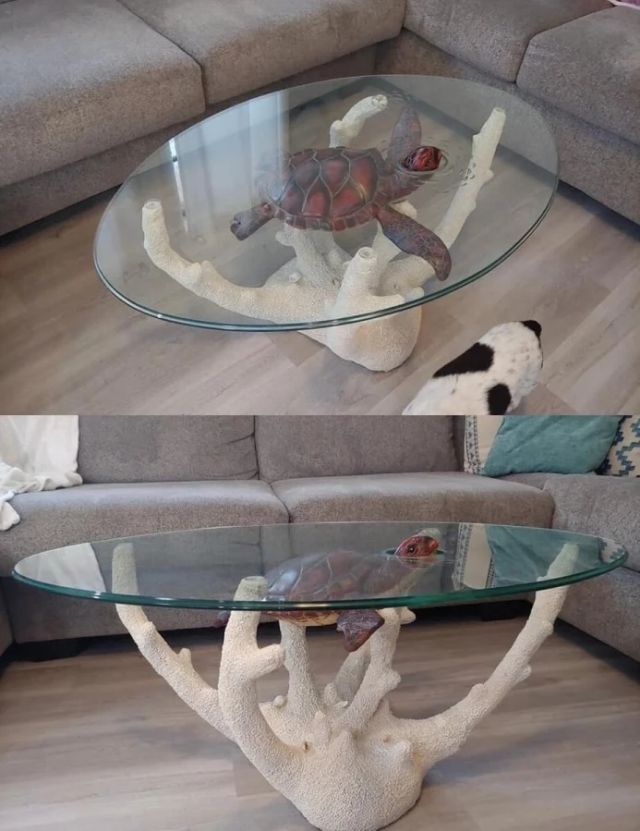 Unusual Finds In Thrift Shops (17 pics) Unusual Finds In Thrift Shops (17 pics)