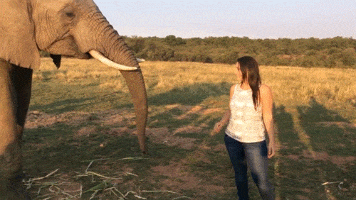 Acid GIFs, April 10 (25 gifs) Acid GIFs, April 10 (25 gifs)