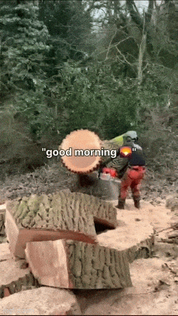 Acid GIFs, April 10 (25 gifs) Acid GIFs, April 10 (25 gifs)