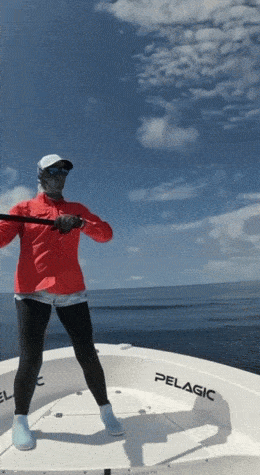 Acid GIFs, April 10 (25 gifs) Acid GIFs, April 10 (25 gifs)