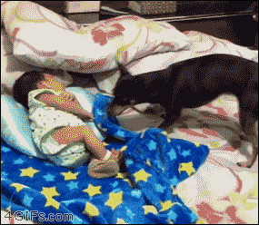 Acid GIFs, April 10 (25 gifs) Acid GIFs, April 10 (25 gifs)