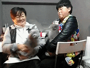 Acid GIFs, April 10 (25 gifs) Acid GIFs, April 10 (25 gifs)