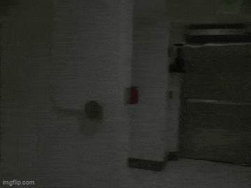 Acid GIFs, April 10 (25 gifs) Acid GIFs, April 10 (25 gifs)