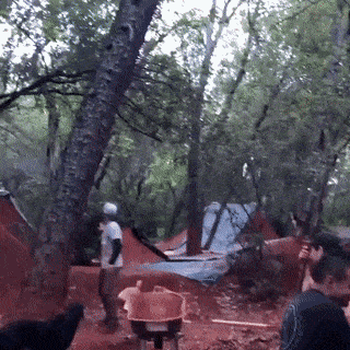 Acid GIFs, April 10 (25 gifs) Acid GIFs, April 10 (25 gifs)