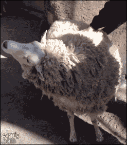 Acid GIFs, April 10 (25 gifs) Acid GIFs, April 10 (25 gifs)