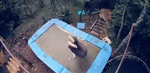 Acid GIFs, April 10 (25 gifs) Acid GIFs, April 10 (25 gifs)