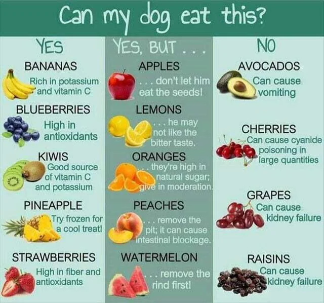 Interesting Data (19 pics) Interesting Data (19 pics)