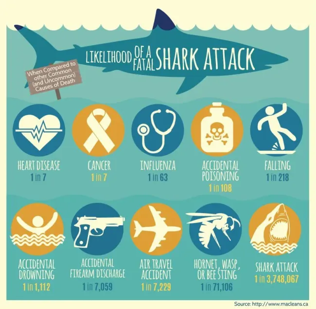 Interesting Data (19 pics)