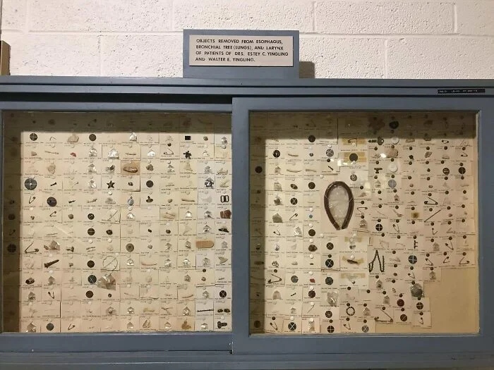 Impressive Collections (25 pics)