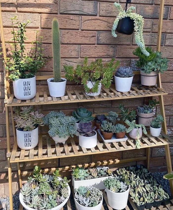 Impressive Collections (25 pics)