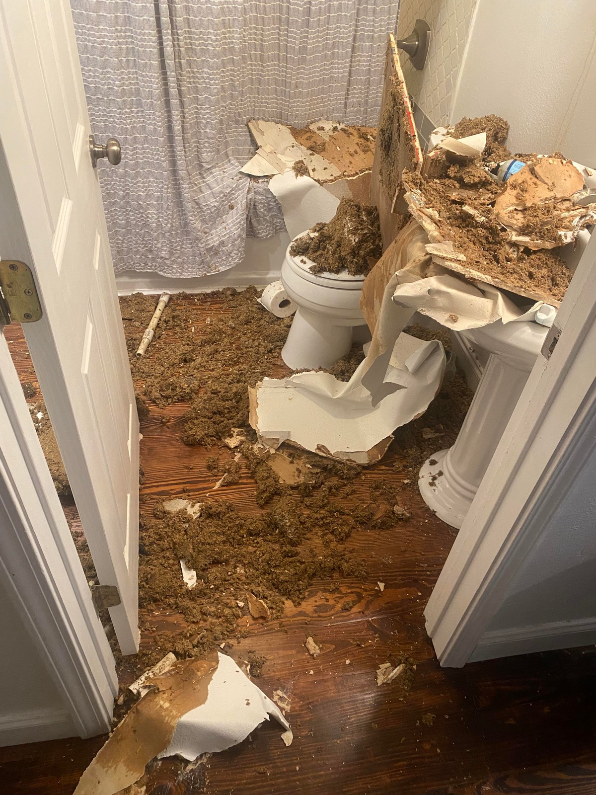 Bad Days Happen (27 pics)