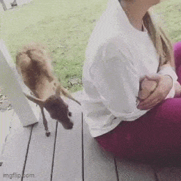 Acid GIFs, April 13 (25 gifs)