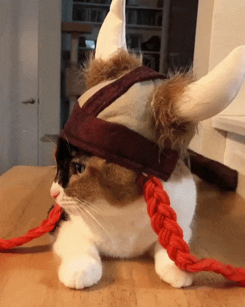 Acid GIFs, April 13 (25 gifs)