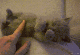 Acid GIFs, April 13 (25 gifs)