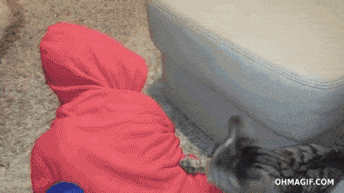 Acid GIFs, April 13 (25 gifs)