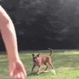 Acid GIFs, April 13 (25 gifs)