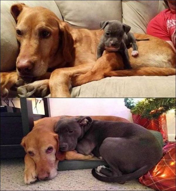 Daily Pictures. Part 1 (75 pics)