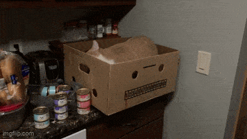 Acid GIFs, April 14 (25 gifs) Acid GIFs, April 14 (25 gifs)