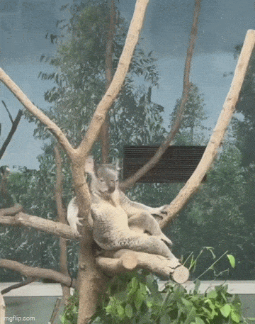 Acid GIFs, April 14 (25 gifs) Acid GIFs, April 14 (25 gifs)