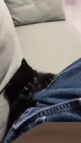 Acid GIFs, April 14 (25 gifs) Acid GIFs, April 14 (25 gifs)