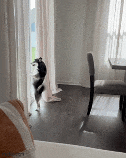 Acid GIFs, April 14 (25 gifs) Acid GIFs, April 14 (25 gifs)