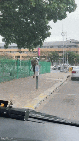 Acid GIFs, April 14 (25 gifs) Acid GIFs, April 14 (25 gifs)