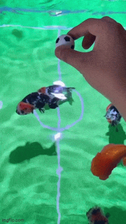 Acid GIFs, April 14 (25 gifs) Acid GIFs, April 14 (25 gifs)