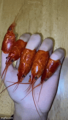 Acid GIFs, April 14 (25 gifs) Acid GIFs, April 14 (25 gifs)