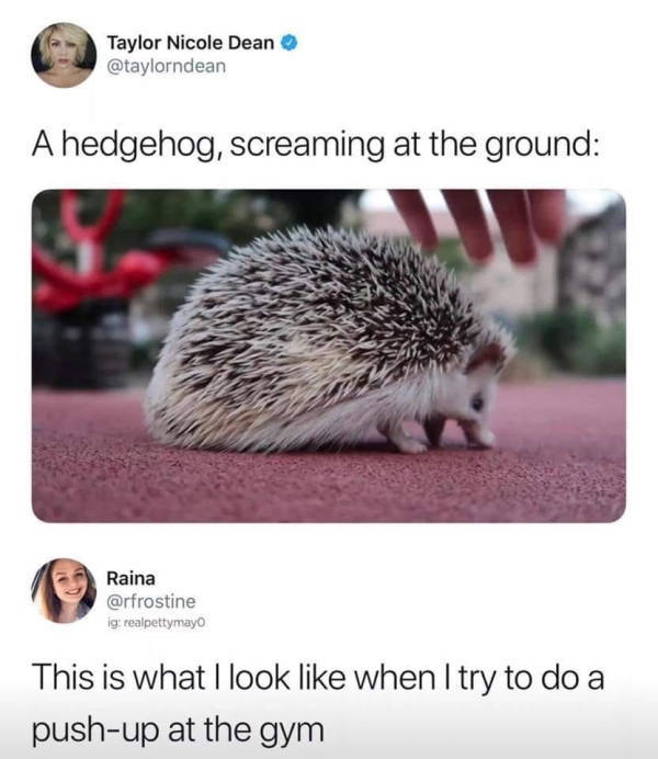Truthful Memes (23 pics)
